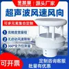 Sensor Ultrasónico de Velocidad y Dirección del Viento Portátil Pequeño para Exteriores Estación Meteorológica Monitorización Detector de Viento Rs485