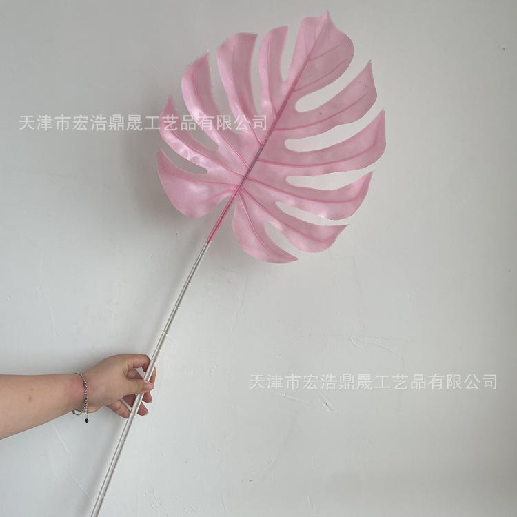 微信图片_202208091601424_副本