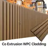 Panel Decorativo para Fachada de Composite Madera-Plástico Coextruido de Rápida Personalización 219x26mm Textura Cepillada Tablero de Protección para Pared de Patio Exterior