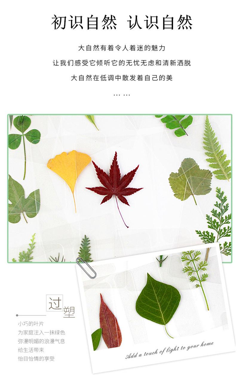 1_03_副本.jpg