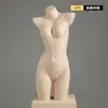 Accesorios para Maniquíes de Ropa Interior, Maniquíes de Medio Cuerpo Femeninos y Masculinos, Figuras de Plástico para Bustos y Ropa Interior, Soportes de Exhibición para Escaparates, Maniquíes Infantiles