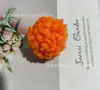 Fábrica de Origen Bola de Pelo Imitación Oso de Peluche Ligera No Descolorante Colgante para Teléfono, Accesorio para Zapato tipo Clog Bola de Lana de Cordero