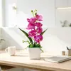 Vaso quadrado com 7 orquídeas Phalaenopsis, decoração de casa, planta em vaso de flor artificial, arranjo para salão de cerimônia de casamento, vaso pequeno