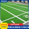 Césped de Pista, Campo de Fútbol de Jardín de Infancia, Césped Artificial, Césped Hyrox, Césped Artificial tipo Alfombra, Césped Simulado