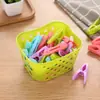 Conjunto de 30 mini pregadores de plástico com cesta organizadora, pregadores para secar roupas, pregadores à prova de vento para roupas íntimas e meias