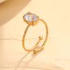 Anillo Transfronterizo Nuevo de Acero de Titanio, Anillo de Lujo Ligero de Alta Gama, Joyería para Mujer, Anillo Abierto Electrochapado, Anillos de Nicho para Pareja, Accesorios