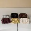 2026 Nova Bolsa Nuvem Plissada Simples de Nicho Feminina para o Dia a Dia Transversal Textura de Luxo Leve Versátil Fashionável Bolsa de Ombro