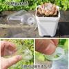 Maceta de Plástico para Semillero de Suculentas Planta Verde Maceta Cuadrada Pequeña Maceta de Flores Color Engrosado Cuadrada Negra Cuadrada para Esqueje Maceta Cuadrada Poco Profunda Fabricante Venta al por Mayor