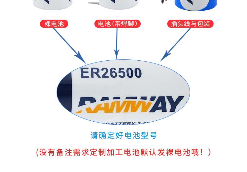 ER26500_04.jpg