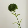 Buquês Artificiais Atacado, Arranjos Florais, Cravos Verdes Ameixa Simulados, Decorações Florais Realistas, Adereços para Fotografia, Plantas Verdes