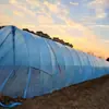Novo suporte para estufa de túnel pequeno haste sólida de fibra de vidro estrutura de plástico para estufa aquicultura suporte para galpão de vegetais doméstico de fazenda