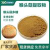 Hericium Erinaceus Pó Cru Grau Alimentício Polissacarídeo de Hericium Fábrica de Hericium Erinaceus Pode Abrir Extrato de Hericium Erinaceus Certificado TC
