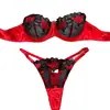 Nuevo Conjunto Sexy de Comercio Exterior Transfronterizo para el Día de San Valentín 2026, Malla Multicolor con Bordado Floral, Lencería Transparente
