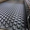 Fornecimento Direto da Fábrica Material em Rolo de Placa de Drenagem HDPE Placa de Drenagem e Armazenamento Placa de Água Piso de Garagem Placa de Drenagem com Boca Grande de Alta Compressão