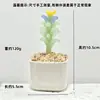 Adornos de Escritorio Hechos a Mano de Flor de Jacinto Suculento Esmaltado Decoración de Maceta de Planta Artificial de Vidrio Micro Paisaje Creativo