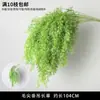 Plantas Verdes, Hierba de Junco, Hierba Bigote de Dragón, Fondo de Boda, Paisajismo de Ventana Floral, Flores Decorativas para Boda en Bosque Blanco y Verde