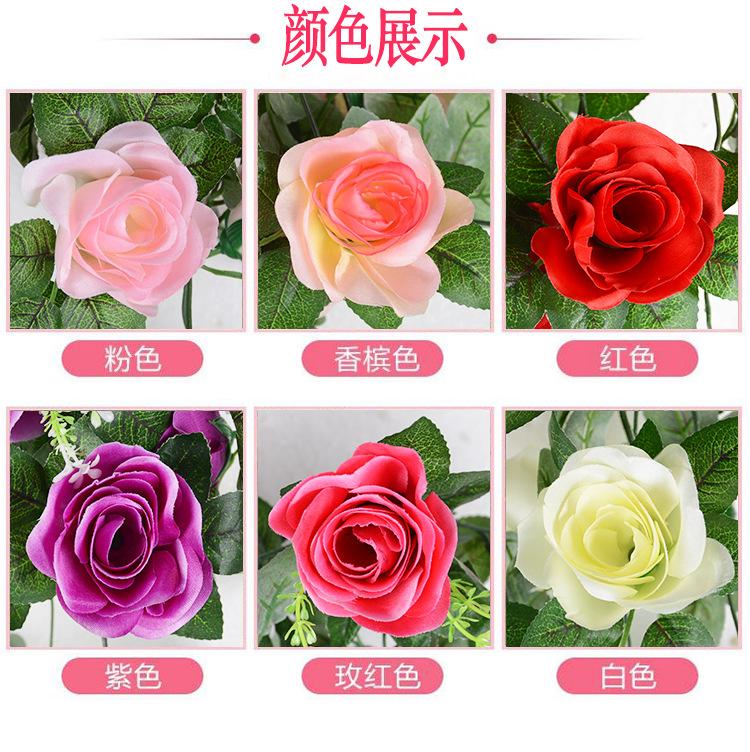 O1CN01ItwbGa2Fu6yj7ccbS_!!1931