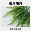 Hierba Persa 7 Ramas Hierba de Agua Ramo Helecho Planta de Simulación Material de Combinación para Pared Helecho Hilera Hierba Simulación Planta Verde