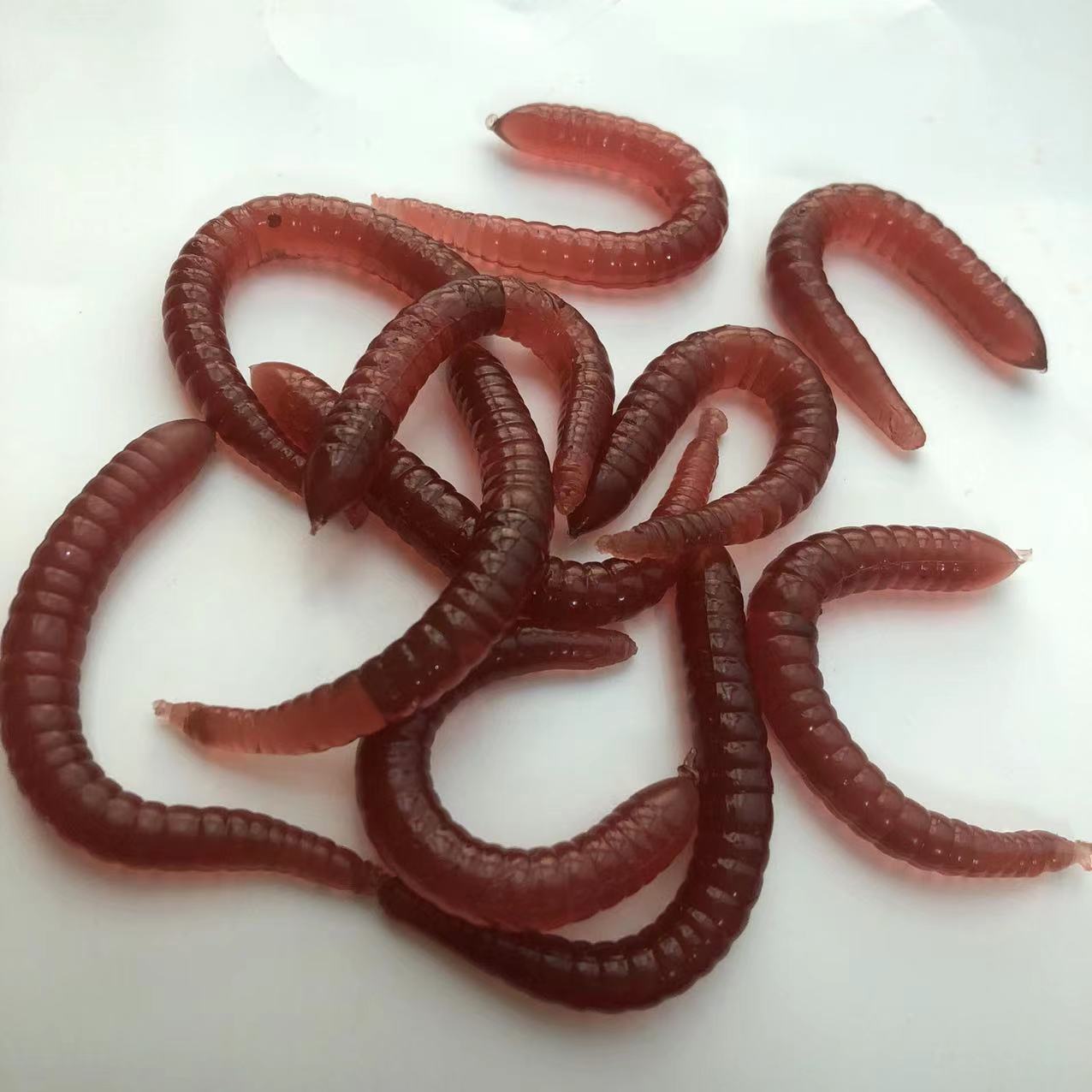 73ccea81cd48f2d7ed53ef44e8f9ad