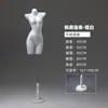 Alta tasa de recompra de accesorios de modelo: modelo de lencería en forma de corazón dorado, modelo de nalga dorado, modelo de busto de hombros caídos dorado (calidad premium).