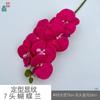 Padrão de modelagem 7 cabeça Phalaenopsis cola sentir Phalaenopsis estúdio fotográfico adereços flor de simulação janela bonita Chen
