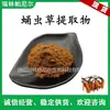 Rui Pa Fornece Extrato de Cordyceps, Pó de Cordyceps, Pó Marrom Solúvel em Água, em Estoque com Frete Grátis