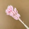 Buquê de Flores Secas Cauda de Coelho Flor Real Flor Imortal Grama Cauda de Cachorro Grama Cauda de Coelho Atacado Decoração de Casa Adereços para Fotografia