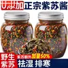 Mezcla de Arroz Perilla, Auténtica Salsa Perilla de Hunan, Sabor Original Fresco y Picante, Guarnición Apetitosa para Fideos, Tienda Oficial Principal