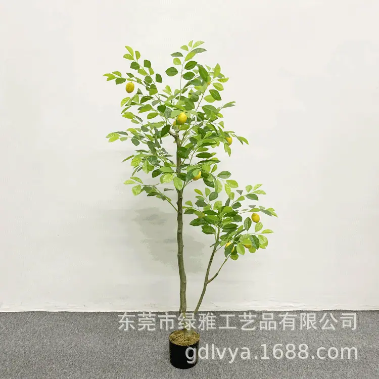 1.5米新款柠檬树