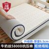 Colchão de algodão com memória Nanjiren Almofada para cama em casa Colchão Tatami Dormitório Aluguel de solteiro Colchão especial Colcha