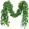 Rábano Verde, Hojas de Camote, Hiedra Trepadora, Bestseller Transfronterizo en Amazon Temu/Shein, Etiquetado y Dropshipping 2.1