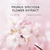 Producto Nuevo Transfronterizo Laiko Sakura Barra Mascarilla Sólida 45g Mascarilla de Barro para Untar para Limpieza de Piel Fabricante Mayorista