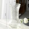Jarrón transparente de estilo nórdico con patrón vertical simple, con flores elevadas al agua, de vidrio, para decoración de sala de estar, ideal para celebridades de Internet.