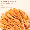 Caja de Regalo Cuatro Delicias de la Montaña Fudonghai 220g - Venta al por Mayor de Cordyceps, Hígado de Res Negro, Setas de Morilla, Setas Amarillas de Aceite de Pollo