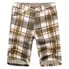 AliExpress ebay Shorts Casuais Masculinos o Ano Todo Shorts Xadrez Calças Casuais Calças de Montaria Tendência Masculina Slim-fit Curto