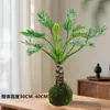 Escama de Dragão Pena de Primavera Bola de Musgo em Vaso Tronco Velho Escritório Plantas Hidropônicas Tolerantes à Sombra Internas e Externas Purificam o Ar Plantas Verdes de Mesa