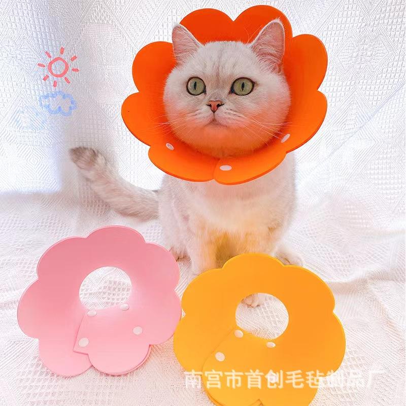 微信图片_20230725101652