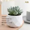 Plantas en Maceta de Suculentas de Diamante Simuladas al por Mayor, Decoración del Hogar, Plantas Suculentas para Oficina, Adornos de Plantas Verdes, En Stock, Entrega Inmediata