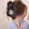 Presilha de cabelo flor de acetato simples e elegante para mulheres, novo modelo 2026, presilha para a parte de trás da cabeça, grampo para meio rabo de cavalo, presilha de tubarão