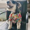 Ropa para Perros Otoño y Verano Delgada Ropa para Mascotas Fresca Camisa con Estampado Hawaiano Ropa para Cachorros Ropa para Perros Mascotas