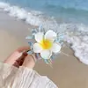 Presilhas de Cabelo Série Oceano com Flores Preservadas, Estrelas-do-Mar, Conchas e Frutas para Viagens à Beira-Mar e Fotos de Férias
