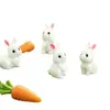 Transfronterizo nuevo creativo lindo conejito jardinería paisajismo DIY accesorios decorativos musgo micro-paisaje pequeños adornos