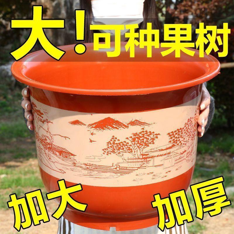 040869c5-b07a-4ba7-a0a9-dfb3242d8c2d.jpe