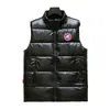 Chaleco Brillante Europeo Transfronterizo Lavable para Hombre de Algodón Plumón con Cuello Vertical Talla Grande Casual Chaleco Superior Combinable