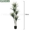 Artesanía Suerte Árbol de Hierro Simulado Maceta Hoja Roja Hierro Brasileño Planta Tropical de Desierto Paisajismo Madera Simil Milenaria Árbol de Hierro Dragón