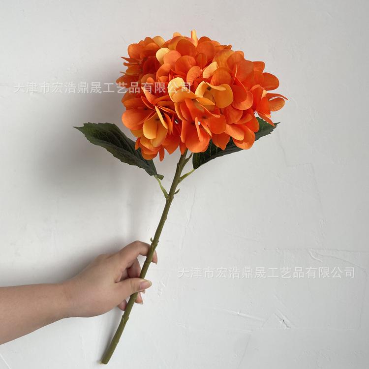 微信图片_202208191624159_副本