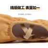 Zapatos de baile mujer suela blanda color camel niños adulto zapatos de baile cuerpo yoga zapatos garra de gato interior zapatos de ballet al por mayor