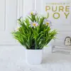 Suministro transfronterizo de plantas de simulación, flores en maceta, plantas verdes, flores falsas, bonsái de plástico, decoración de interiores, decoración de escritorio.