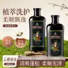 Processamento Personalizado de Shampoo de Gengibre Negro de Origem Vegetal OEM, Condicionador Refrescante, Volumoso, Macio e Brilhante com Fragrância Duradoura