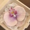 Grampo de Cabelo Textura de Flor Artificial Phalaenopsis Super Fada Presilha de Bico de Pato Avançada Flor Tridimensional Acessórios de Cabelo Adorno de Cabeça Vintage Antigo